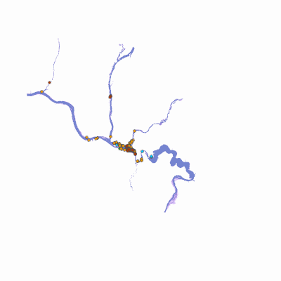 Export Image
